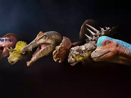 Terra X: Unter Dinos – Geheimnisse der Urzeit im ZDF / Sechs Dino-Geschichten mit neuesten Forschungserkenntnissen - Foto: presseportal.de