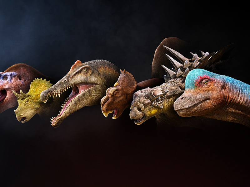 Terra X: Unter Dinos – Geheimnisse der Urzeit im ZDF / Sechs Dino-Geschichten mit neuesten Forschungserkenntnissen - Foto: presseportal.de