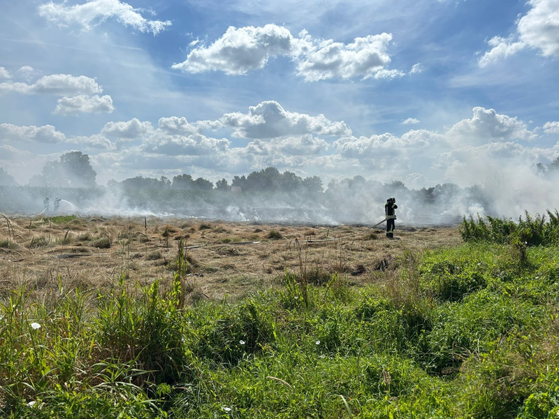 FW-AUR: Großflächigen Heubrand rasch im Griff - Foto: presseportal.de