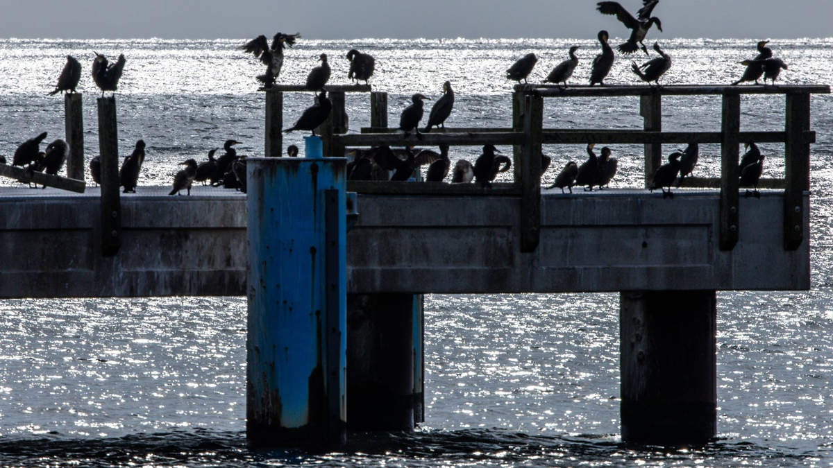 Nach der Hitze kühlt es etwas ab. - Foto: Jens Büttner/dpa