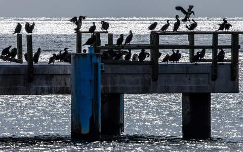 Nach der Hitze kühlt es etwas ab. - Foto: Jens Büttner/dpa