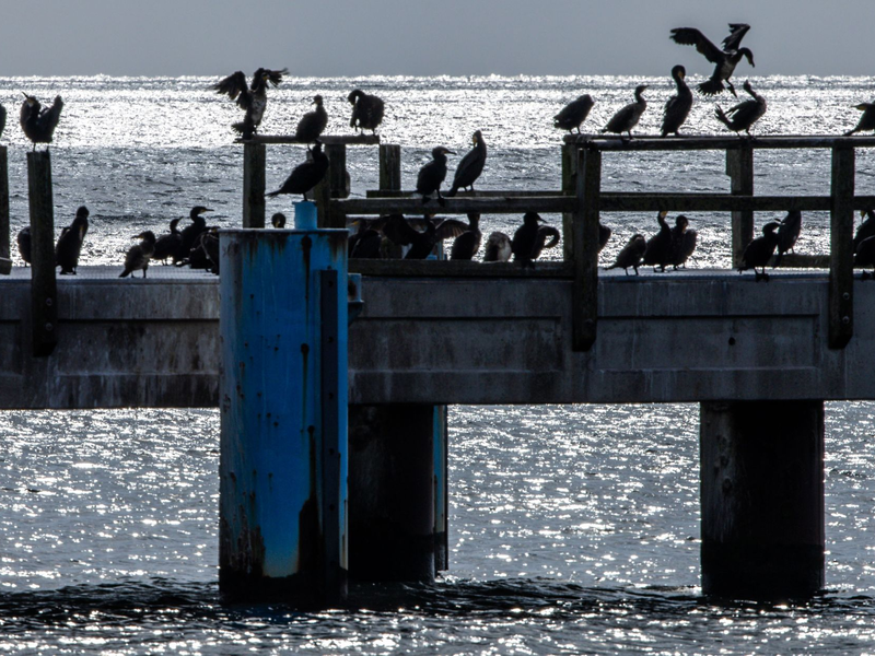 Nach der Hitze kühlt es etwas ab. - Foto: Jens Büttner/dpa