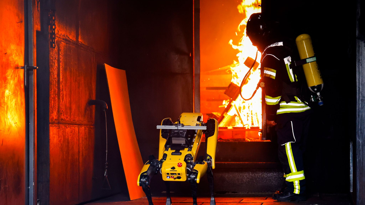 Der Norddeutsche hat für seine Grundlagenforschung EU-Fördermittel eingeworben. - Foto: Frank Molter/dpa