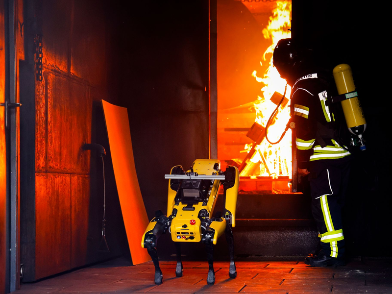 Der Norddeutsche hat für seine Grundlagenforschung EU-Fördermittel eingeworben. - Foto: Frank Molter/dpa