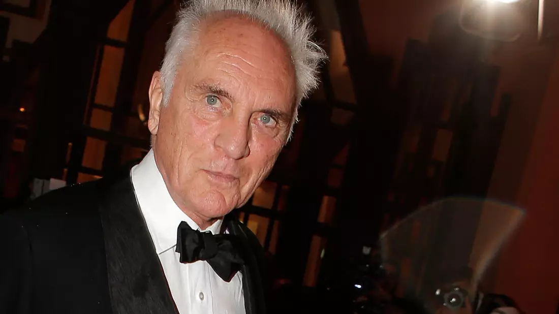 Terence Stamp startete seine Filmkarriere in den 1960er Jahren. (Archivbild)  - Bild: Lionel Cironneau/AP/dpa