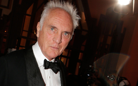 Terence Stamp startete seine Filmkarriere in den 1960er Jahren. (Archivbild)  - Foto: Lionel Cironneau/AP/dpa