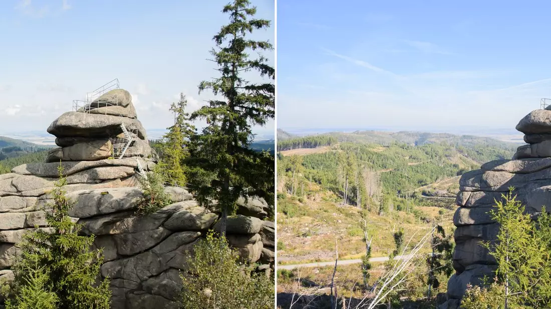 Der Ottofelsen im Harz 2014 und 2023: Seit 2018 gibt es im Harz ein immenses Baumsterben. Damals warf ein Orkan zahlreiche Bäume um. Das Totholz in Verbindung mit der Trockenheit in den vergangenen Jahren führte zu einer besonders starken Ausbreitung des Borkenkäfers und zu einem massiven Fichtensterben. - Bild: Julian Stratenschulte/dpa