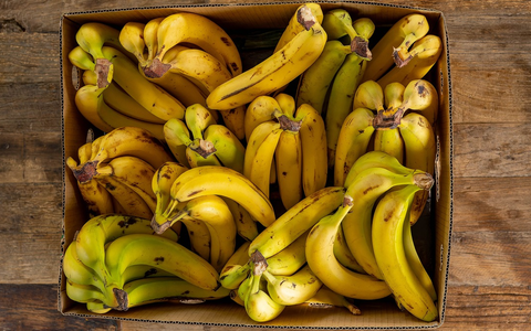 Neue ZDF-Reportage: Bananen – Genuss mit Beigeschmack - Foto: presseportal.de