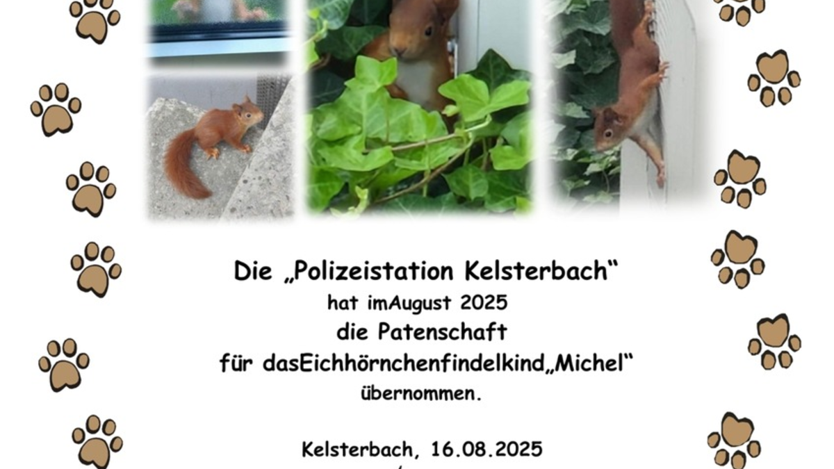 POL-DA: Kelsterbach: Polizei übernimmt Patenschaft für Eichhörnchen-Bub 
