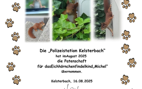 POL-DA: Kelsterbach: Polizei übernimmt Patenschaft für Eichhörnchen-Bub Michel - Foto: presseportal.de