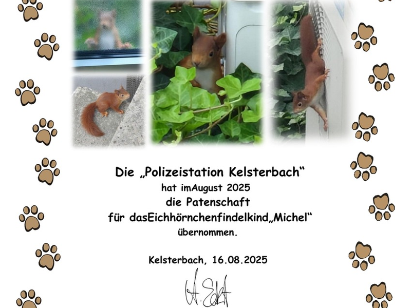 POL-DA: Kelsterbach: Polizei übernimmt Patenschaft für Eichhörnchen-Bub Michel - Foto: presseportal.de