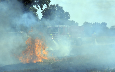 FW Lüchow-Dannenberg: +++ Besondere Brände erfordern besondere Maßnahmen +++ Feuerwehren der Samtgemeinde Elbtalaue trainieren die Brandbekämpfung von Vegetationsbränden +++ - Foto: presseportal.de