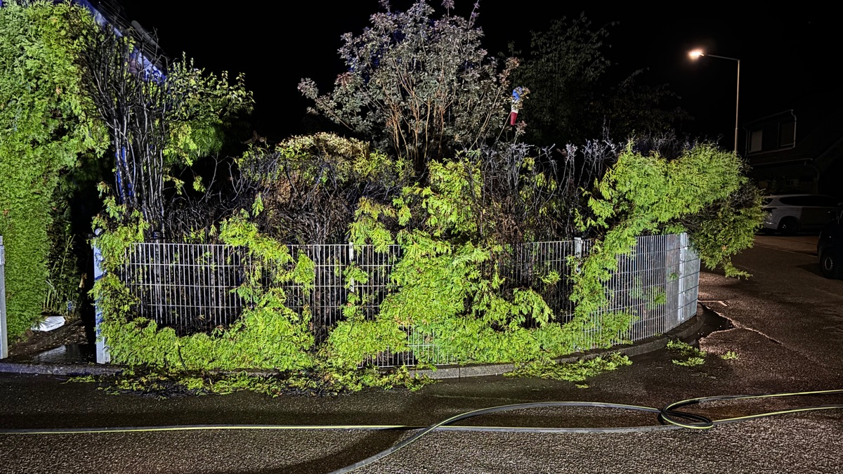 FW Alpen: Nächtlicher Heckenbrand in Menzelen - Foto: presseportal.de