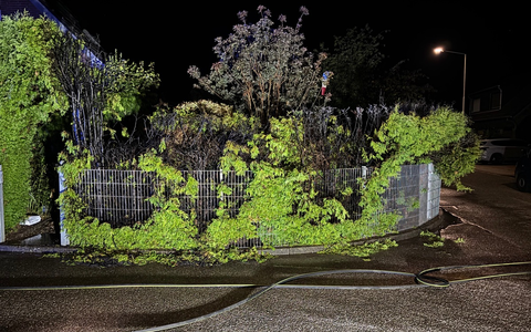 FW Alpen: Nächtlicher Heckenbrand in Menzelen - Foto: presseportal.de