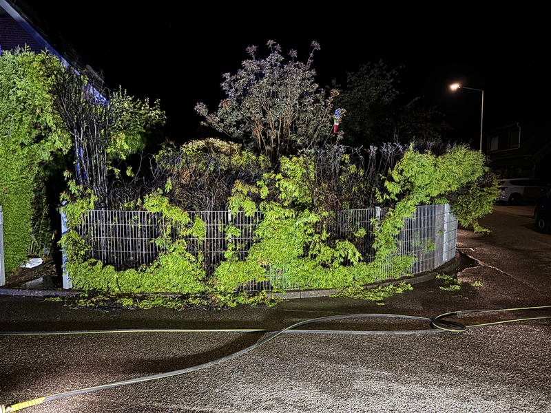 FW Alpen: Nächtlicher Heckenbrand in Menzelen - Foto: presseportal.de