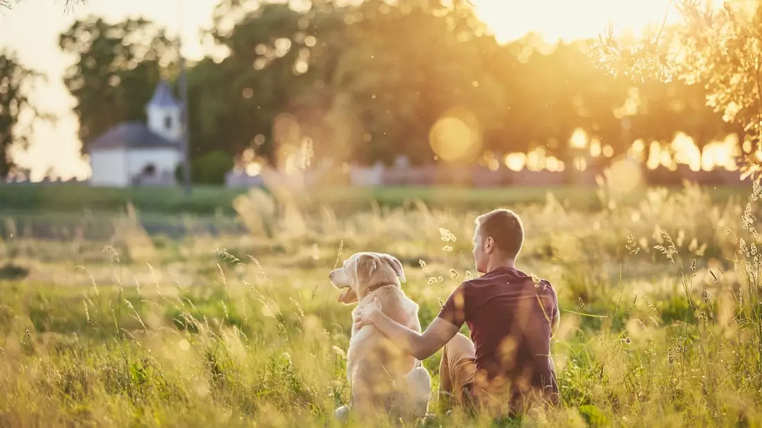 September ist Schmerz-Awareness-Monat / Endlich schmerzfrei: 5 Dos & Don'ts, die Hunden mit Arthrose wirklich helfen - Bild: presseportal.de