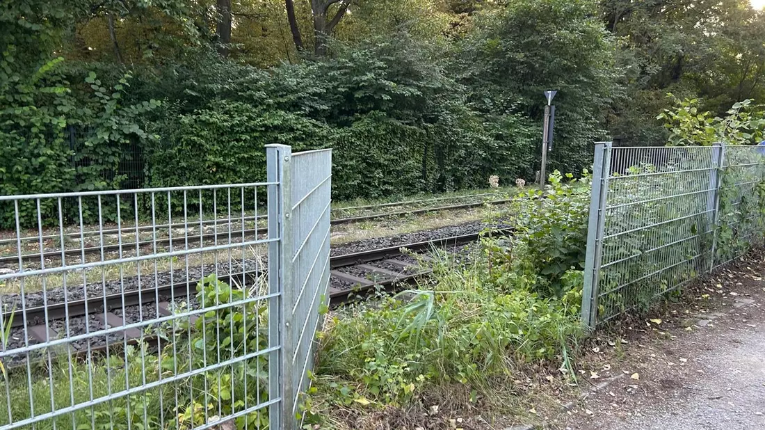 FW Paderborn: Feuerwehr rettet sieben Schwäne von Bahngleisen - Bild: presseportal.de