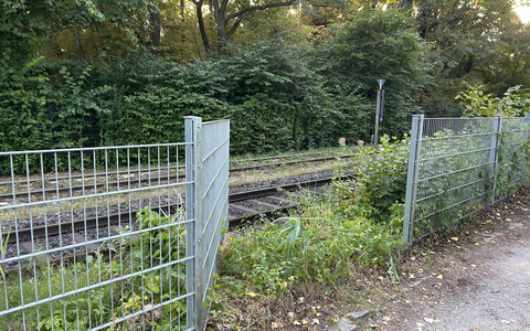 FW Paderborn: Feuerwehr rettet sieben Schwäne von Bahngleisen - Foto: presseportal.de