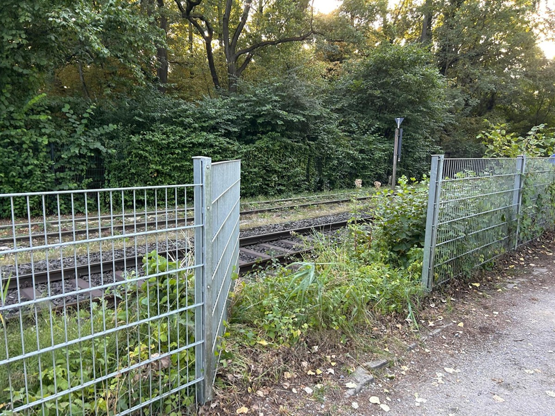 FW Paderborn: Feuerwehr rettet sieben Schwäne von Bahngleisen - Foto: presseportal.de
