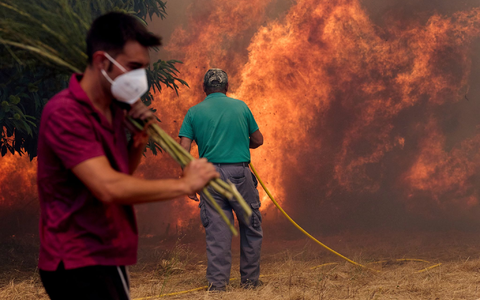 Unermüdlich kämpfen Einsatzkräfte und freiwillige Helfer gegen die Flammen. - Foto: Pablo Garcia/AP/dpa