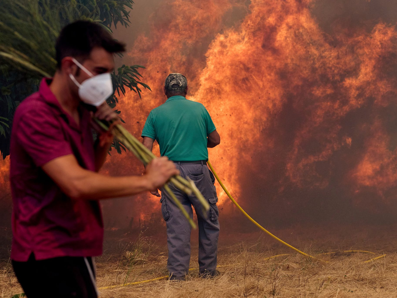 Unermüdlich kämpfen Einsatzkräfte und freiwillige Helfer gegen die Flammen. - Foto: Pablo Garcia/AP/dpa