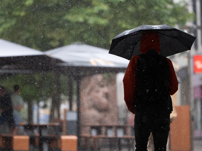Im äußersten Süden kann es nass und gewittrig werden (Symbolbild)  - Foto: Markus Lenhardt/dpa