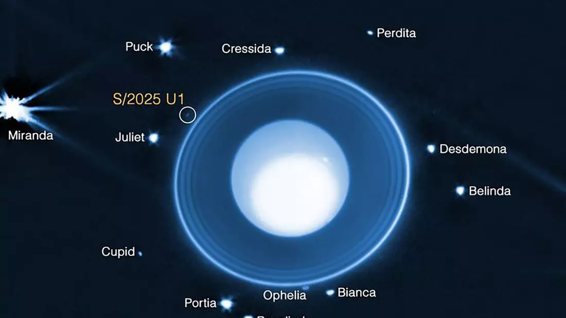 Grafik auf Basis von James-Webb-Daten: Uranus mit seinen Ringen und bekannten Monden. Eingekreist ist der neu entdeckte, nur rund zehn Kilometer große Mond S/2025 U1. - Bild: -/NASA/dpa