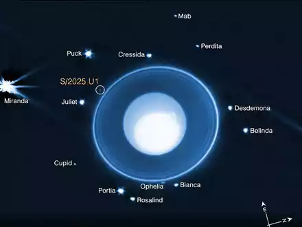 Grafik auf Basis von James-Webb-Daten: Uranus mit seinen Ringen und bekannten Monden. Eingekreist ist der neu entdeckte, nur rund zehn Kilometer große Mond S/2025 U1. - Foto: -/NASA/dpa