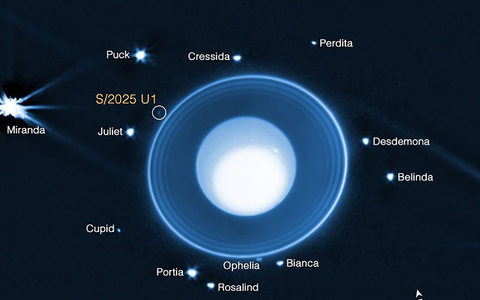 Grafik auf Basis von James-Webb-Daten: Uranus mit seinen Ringen und bekannten Monden. Eingekreist ist der neu entdeckte, nur rund zehn Kilometer große Mond S/2025 U1. - Foto: -/NASA/dpa