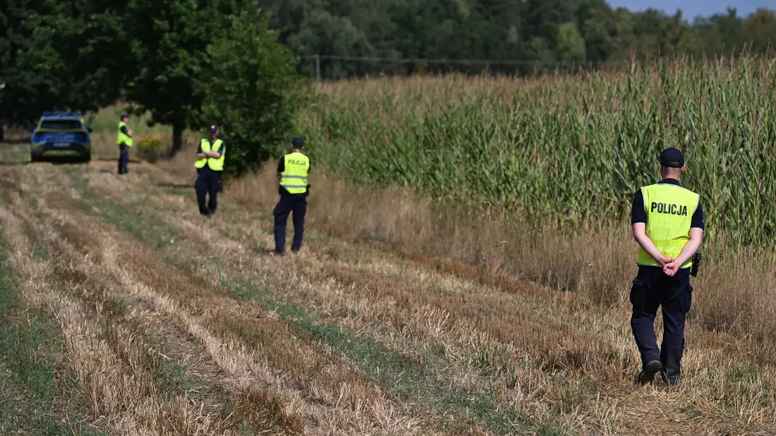 Polnische Polizisten sichern das Gebiet eines Maisfeldes in Osiny in Ostpolen, in das ein unbekanntes Flugobjekt gestürzt ist. (Foto aktuell) - Bild: Wojtek Jargilo/PAP/dpa