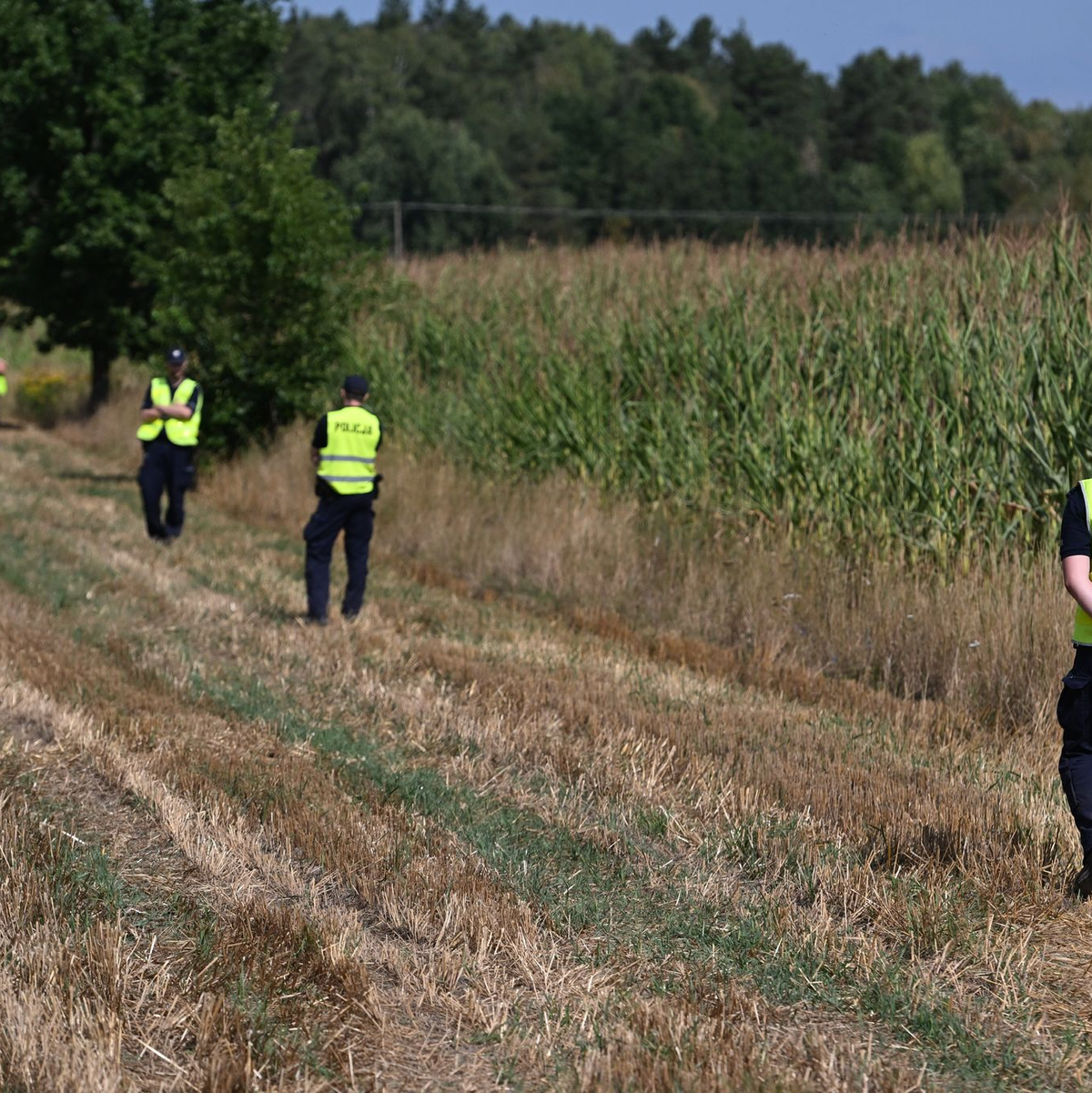 Polnische Polizisten sichern das Gebiet eines Maisfeldes in Osiny in Ostpolen, in das ein unbekanntes Flugobjekt gestürzt ist. (Foto aktuell) - Foto: Wojtek Jargilo/PAP/dpa