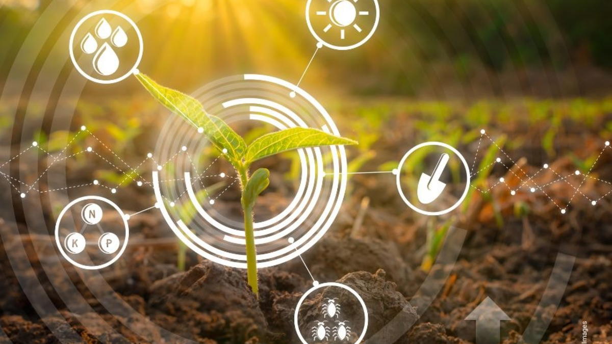 Boden, Regionalität, Vertrauen - neue Umfrage zeigt: Verbraucherinnen und Verbraucher wollen Landwirtschaft aus der Region stärken - Foto: presseportal.de