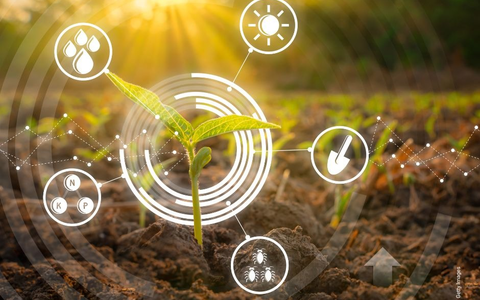 Boden, Regionalität, Vertrauen - neue Umfrage zeigt: Verbraucherinnen und Verbraucher wollen Landwirtschaft aus der Region stärken - Foto: presseportal.de