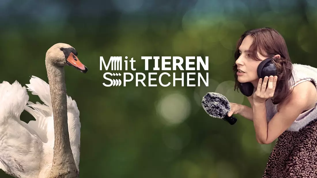 SWR Kultur Podcast Mit Tieren sprechen / Mit Tieren sprechen - Verständigung von Mensch und Tier auf Augenhöhe / Ab 21. August 2025 in der ARD Audiothek - Bild: presseportal.de