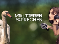 SWR Kultur Podcast Mit Tieren sprechen / Mit Tieren sprechen - Verständigung von Mensch und Tier auf Augenhöhe / Ab 21. August 2025 in der ARD Audiothek - Foto: presseportal.de
