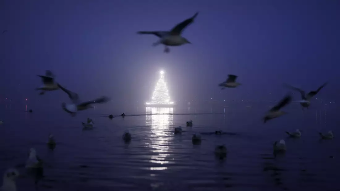 Künstliche Beleuchtung beeinflusst das Verhalten von Vögeln. (Archivbild) - Bild: Christian Charisius/dpa