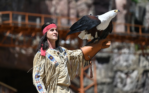 Bereits 300.000 Zuschauer haben das StĂŒck «Halbblut» gesehen. (Archivbild) - Foto: David Hammersen/dpa Bereits 300.000 Zuschauer haben das StĂŒck «Halbblut» gesehen. (Archivbild) - Foto: David Hammersen/dpa