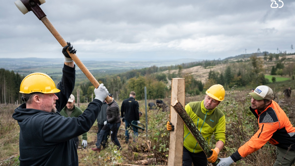 Verantwortung und Fortschritt: / BusinessBike legt Nachhaltigkeitsbericht 2024 vor. - Foto: presseportal.de