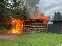 FW-DO: Unterstand mit Brennholz in Flammen - Foto: presseportal.de