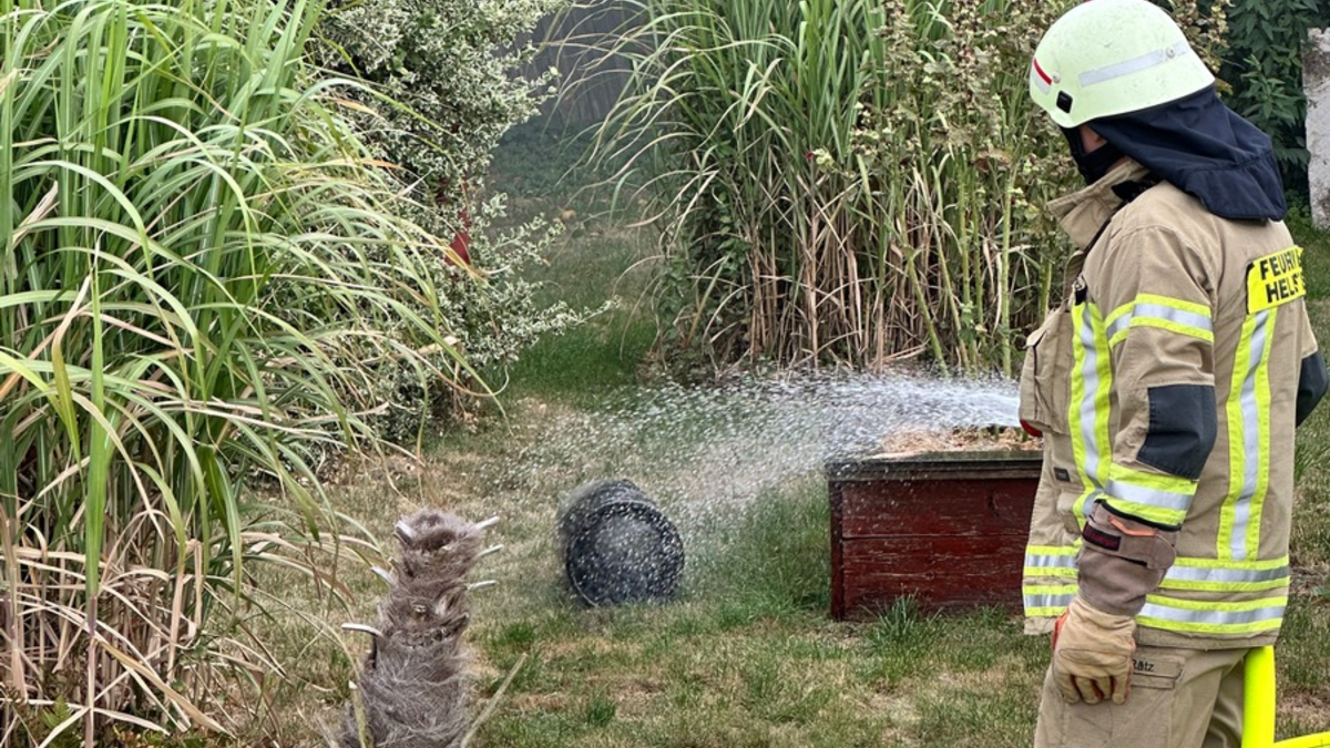 FW Helmstedt: Brennen mehrere Gartenlauben in voller Ausdehnung - Foto: presseportal.de