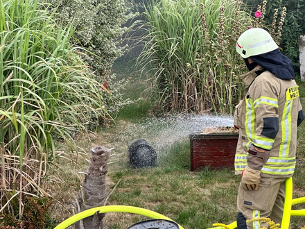 FW Helmstedt: Brennen mehrere Gartenlauben in voller Ausdehnung - Foto: presseportal.de