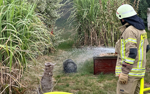FW Helmstedt: Brennen mehrere Gartenlauben in voller Ausdehnung - Foto: presseportal.de FW Helmstedt: Brennen mehrere Gartenlauben in voller Ausdehnung - Foto: presseportal.de
