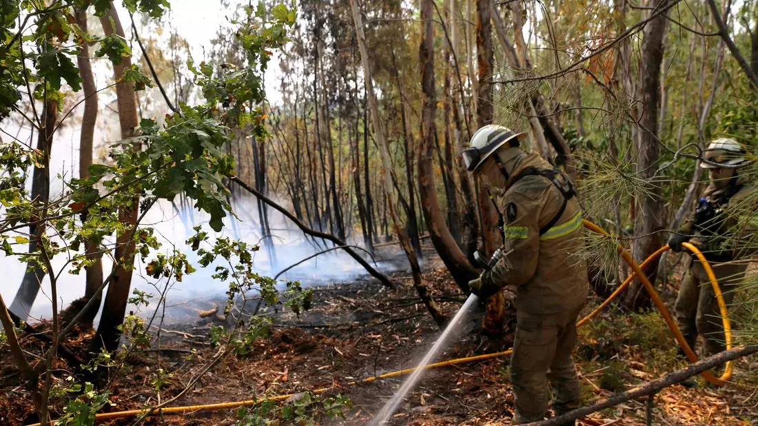 Die Zahl der Todesopfer der verheerenden Waldbrände ist in Portugal gestiegen. Historische Dörfer mussten evakuiert werden. - Bild: Xun Wei/XinHua/dpa