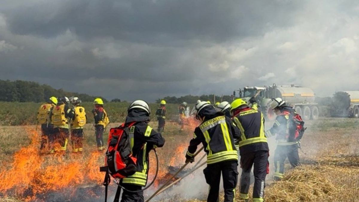 FW-MG: Übungsdienst zur Vegetationsbrandbekämpfung in Hardt und Rasseln - Foto: presseportal.de