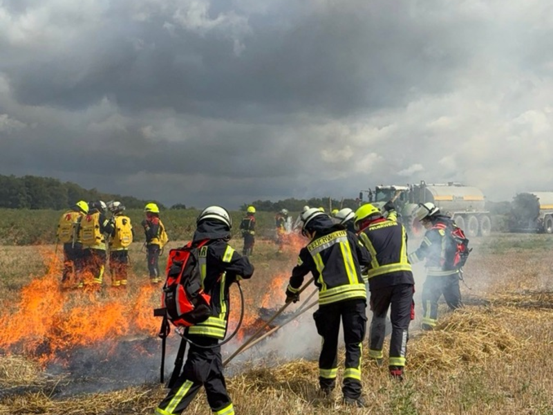 FW-MG: Übungsdienst zur Vegetationsbrandbekämpfung in Hardt und Rasseln - Foto: presseportal.de