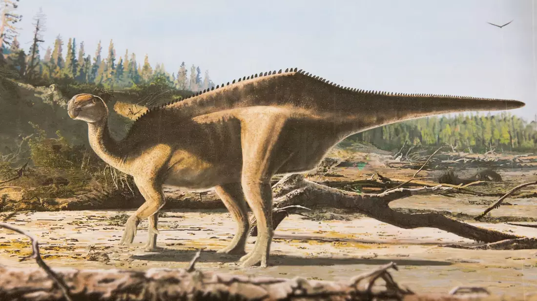 Darstellung von Istiorachis macaruthurae im Vergleich zum Menschen - Bild: James Brown/University of Portsmouth/dpa