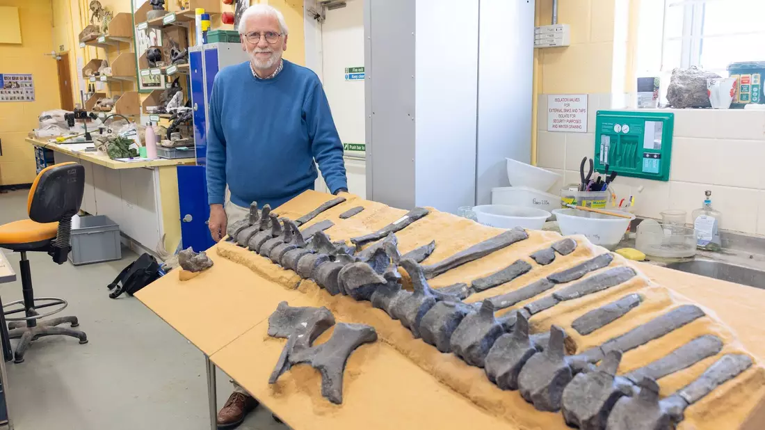 Jeremy Lockwood mit Fossilien von Istiorachis macarthurae - Bild: -/University of Portsmouth/dpa