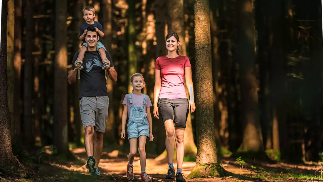 Wandern am HausruckRing - Bild: TourismusHausruckwald-Freund der Berge über pressetext.de