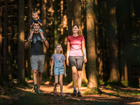 Wandern am HausruckRing - Foto: TourismusHausruckwald-Freund der Berge über pressetext.de