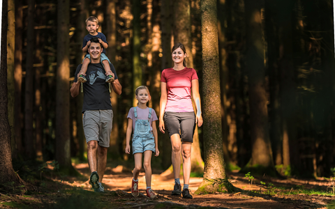 Wandern am HausruckRing - Foto: TourismusHausruckwald-Freund der Berge über pressetext.de